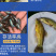 鲲腾优选丁桂鱼苗好鱼苗鲲腾出全国供应技术跟踪