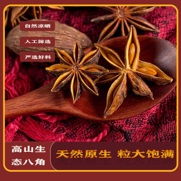 八角广西八角大红八角优质无硫南药园直供