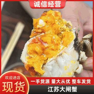 【精选】大闸蟹产地直供规格齐全价格优惠品质保障