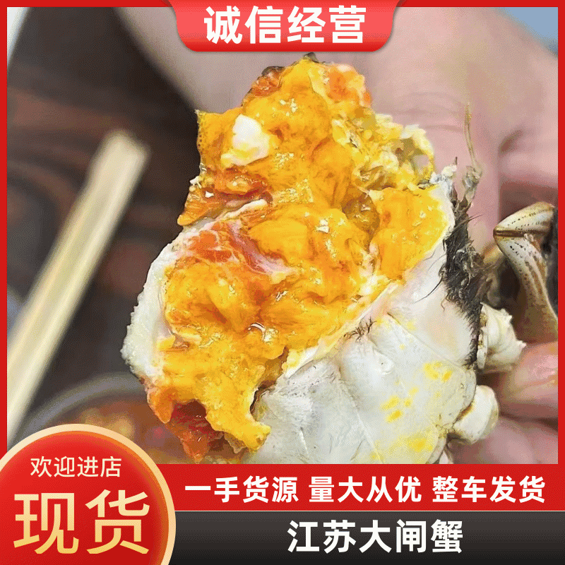 【精选】大闸蟹产地直供规格齐全价格优惠品质保障