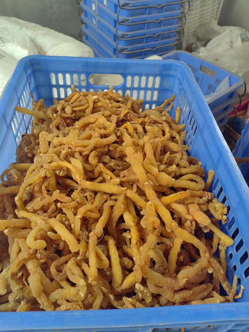 【玉竹熟条】连州玉竹产地直供质量保证货源充足欢迎订购