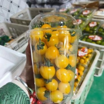 山东寿光黄色口感小番茄产地直销一手货源量大