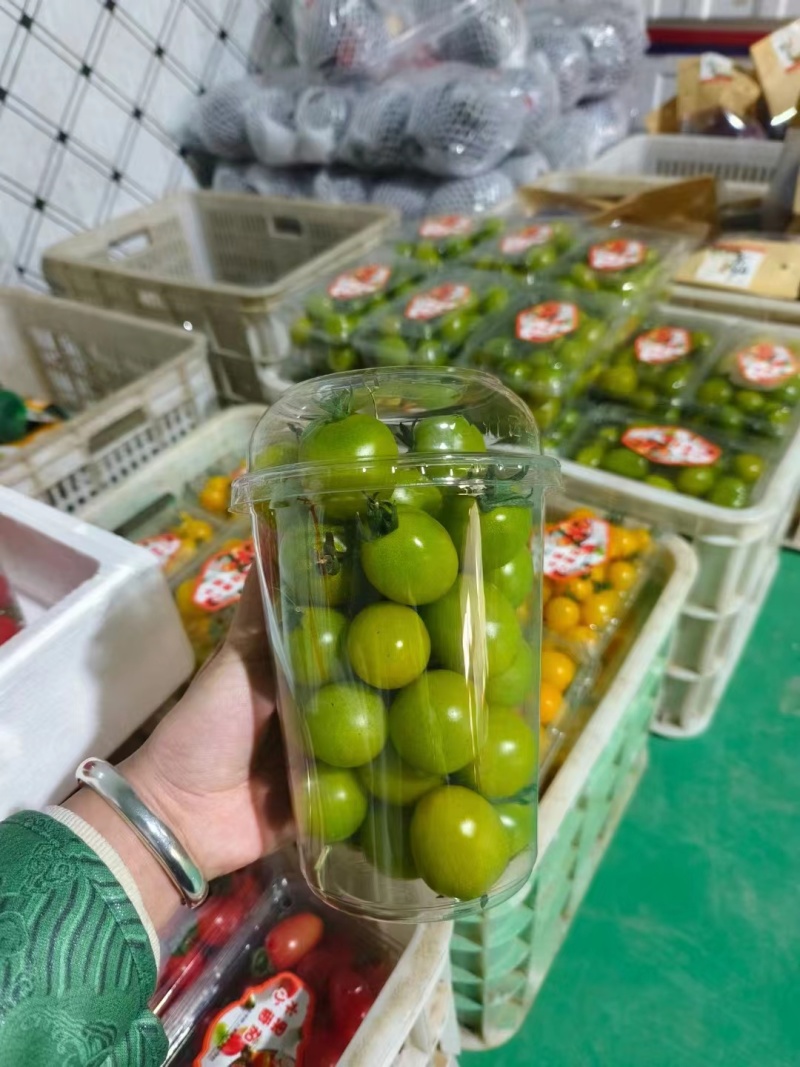 山东寿光青甜小番茄青口蜜小番茄产地一手货源量大