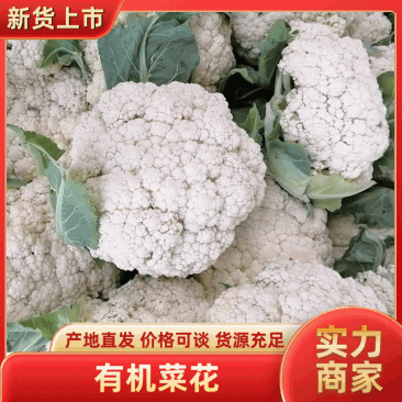 【实力推荐】河南有机花菜大量供应中，代发全国。