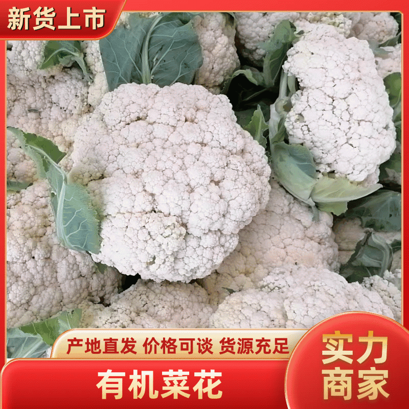 【实力推荐】河南有机花菜大量供应中，代发全国。
