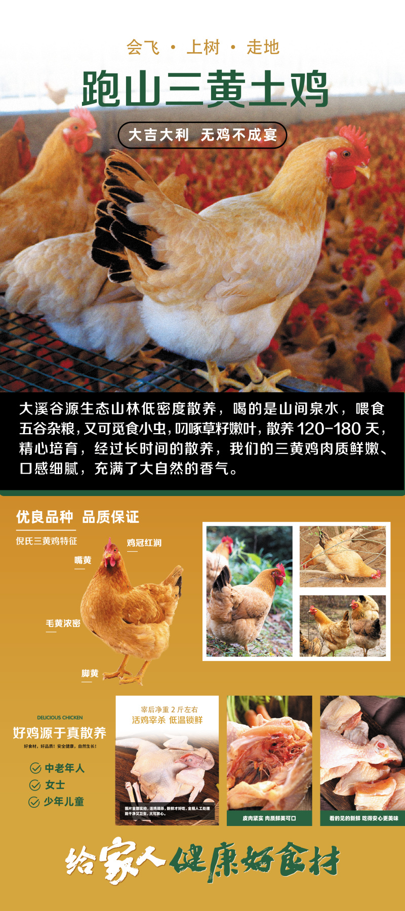 散养跑山鸡，自家养殖，保质保量，量大从优，欢迎来电