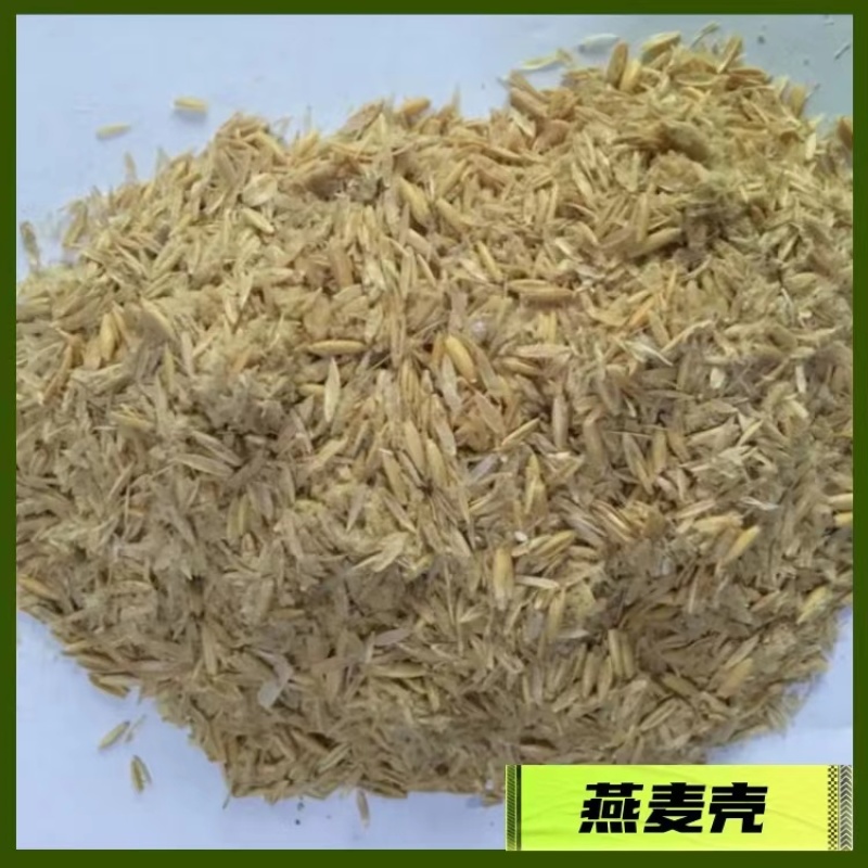饲料原料/燕麦麸皮/量大从优/厂家直发欢迎老板电联