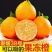 爱媛橙/果冻橙纯甜爆汁一手货源现摘现发欢迎电联