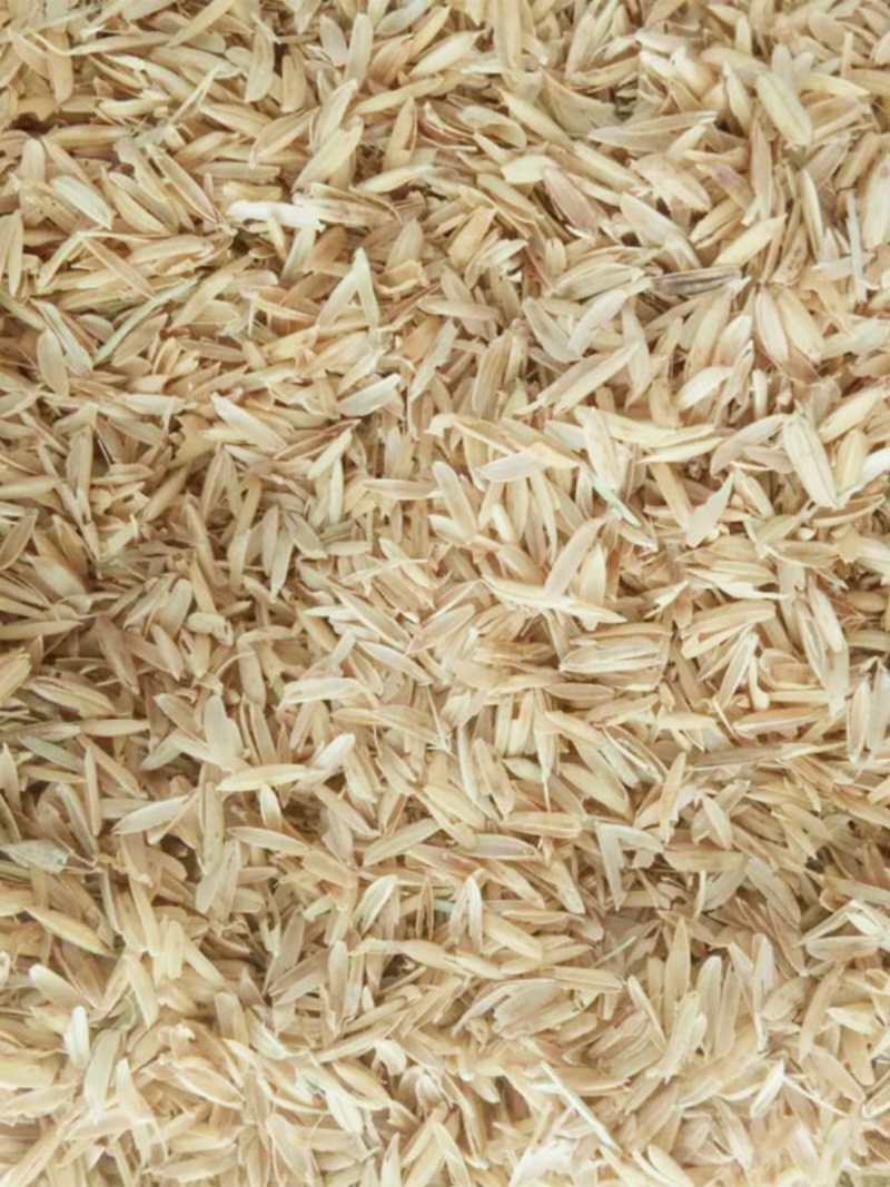稻壳新鲜散装稻壳养殖垫料饲料级天然植物材料酿酒用