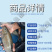 丁桂鱼苗百万现货产地直销全国供应技术跟踪