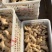 老黄姜泥姜水洗姜主流通货偏上各种货源供应