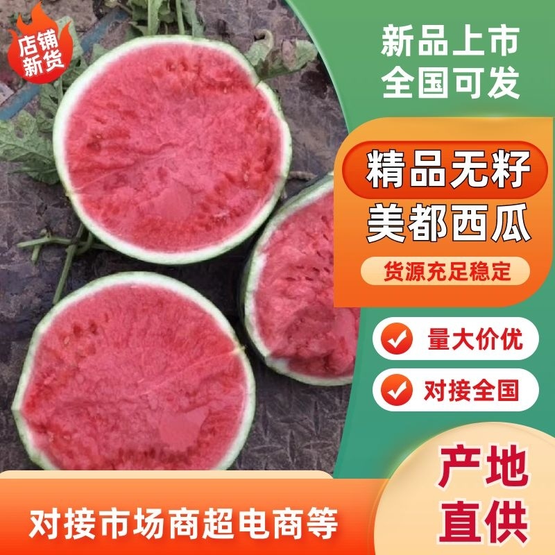 精品美都西瓜/产地直发/一手货源/量大价优/欢迎致电