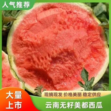 【精品无籽美都西瓜】云南头茬瓜，口感脆甜多汁，保质保量
