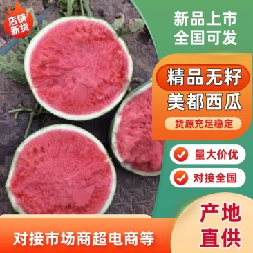 精品无籽美都/产地直发/一手货源/物美价廉/欢迎致电