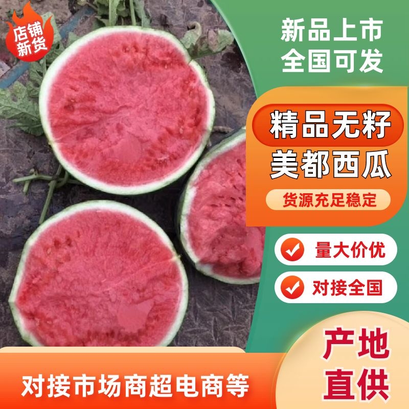 [美都西瓜批发]云南西双版纳勐腊县西瓜 0.20元/斤精品无籽美 _ 一亩田