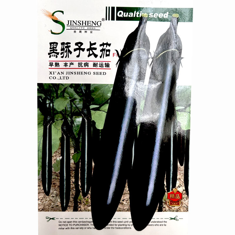 黑娇子长茄子种子黑娇子黑长茄种子籽茄嫁接苗早熟
