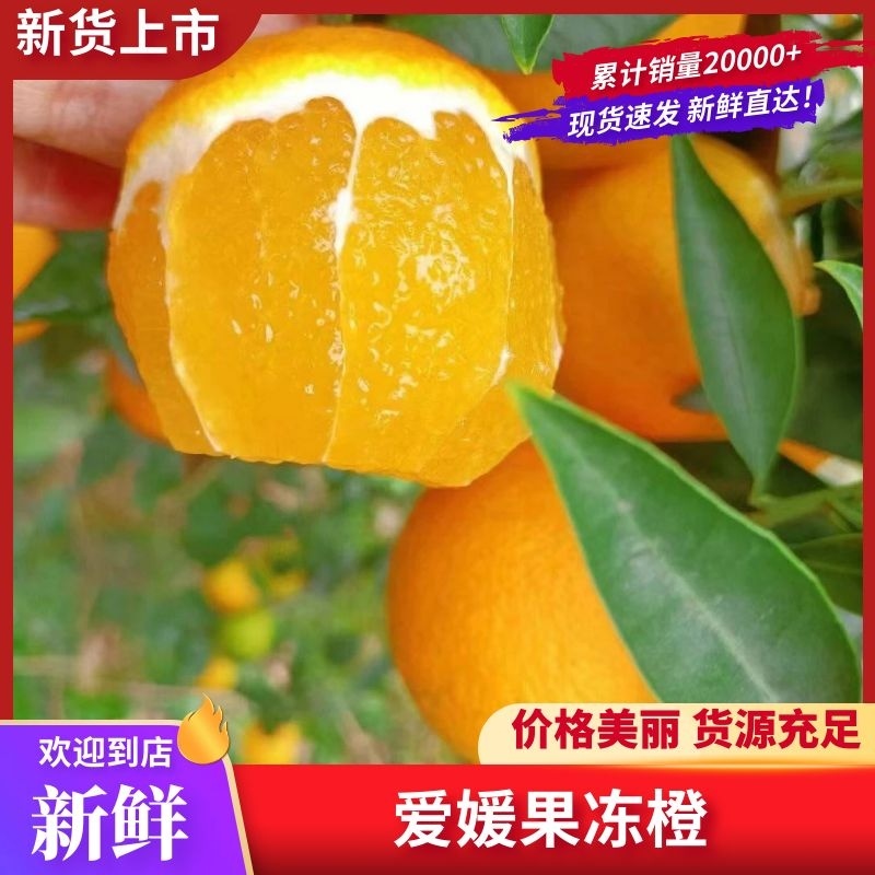 爱媛橙四川橙子爱媛果冻橙产地直供品质保障对接全国