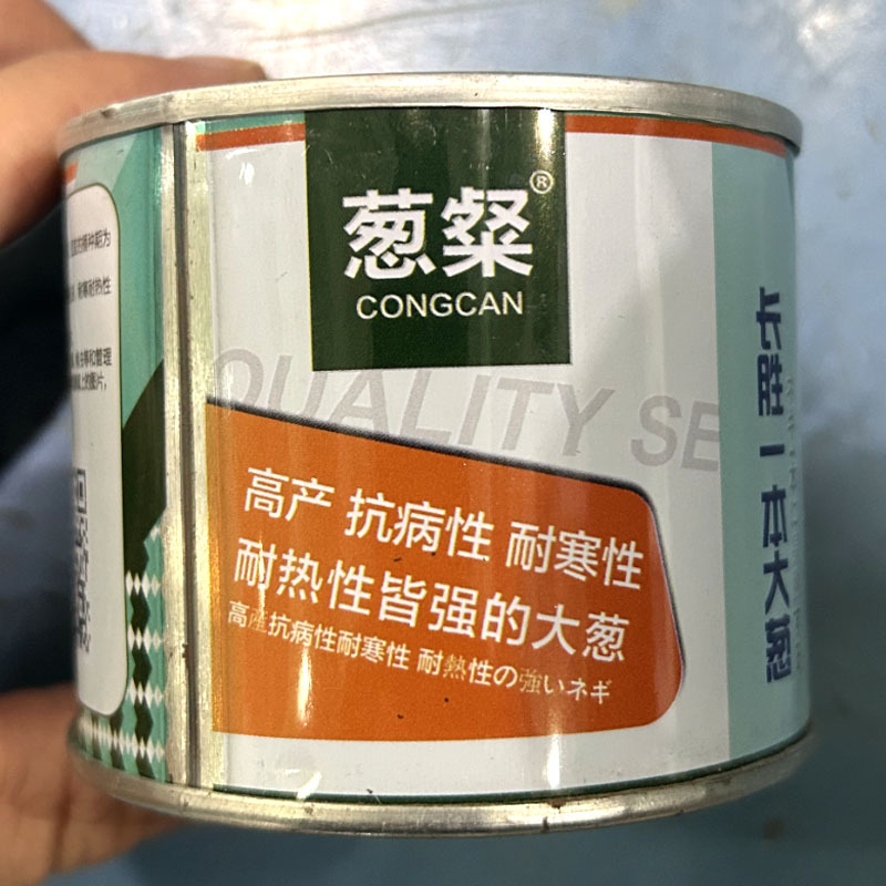 长胜一本大葱种子不易倒伏钢葱高产耐寒耐热