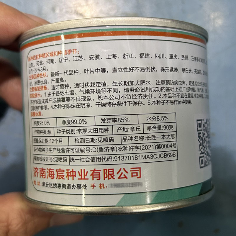 长胜一本大葱种子不易倒伏钢葱高产耐寒耐热