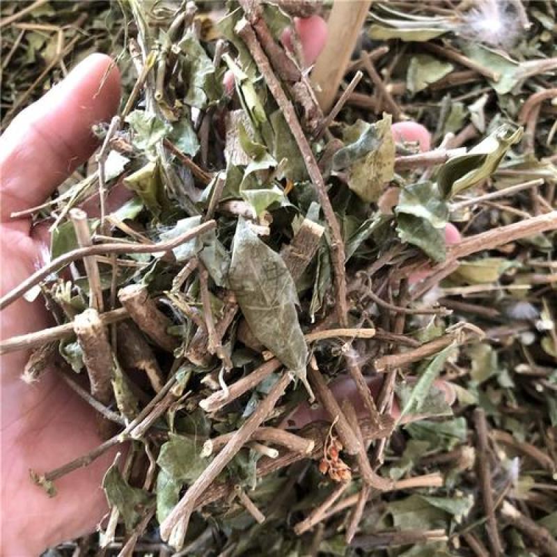 武靴藤粉