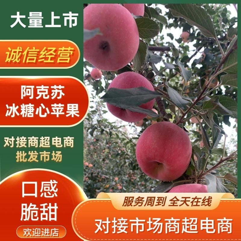 新疆阿克苏冰糖心苹果！产地直发，质量从优，价格美丽。