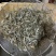新鲜速冻小青虾冷冻河虾量大价优欢迎采购