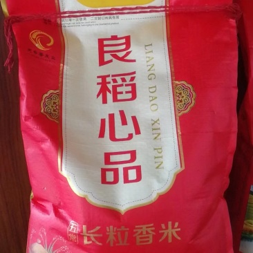 大米新米五常新米颗颗饱满一件也是批发价产地直供