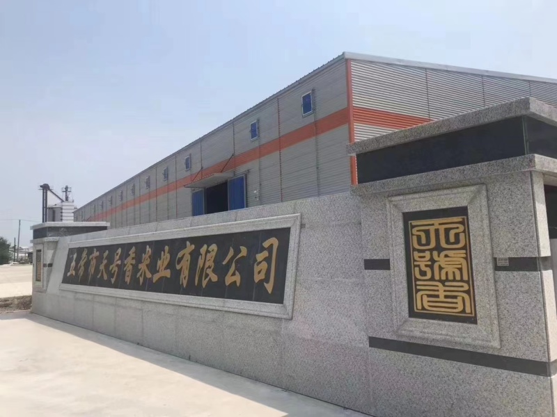 大米新米五常新米颗颗饱满一件也是批发价产地直供