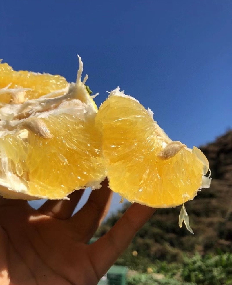 精品葡萄柚果肉漂亮，产地直发大量供应市场商超电商