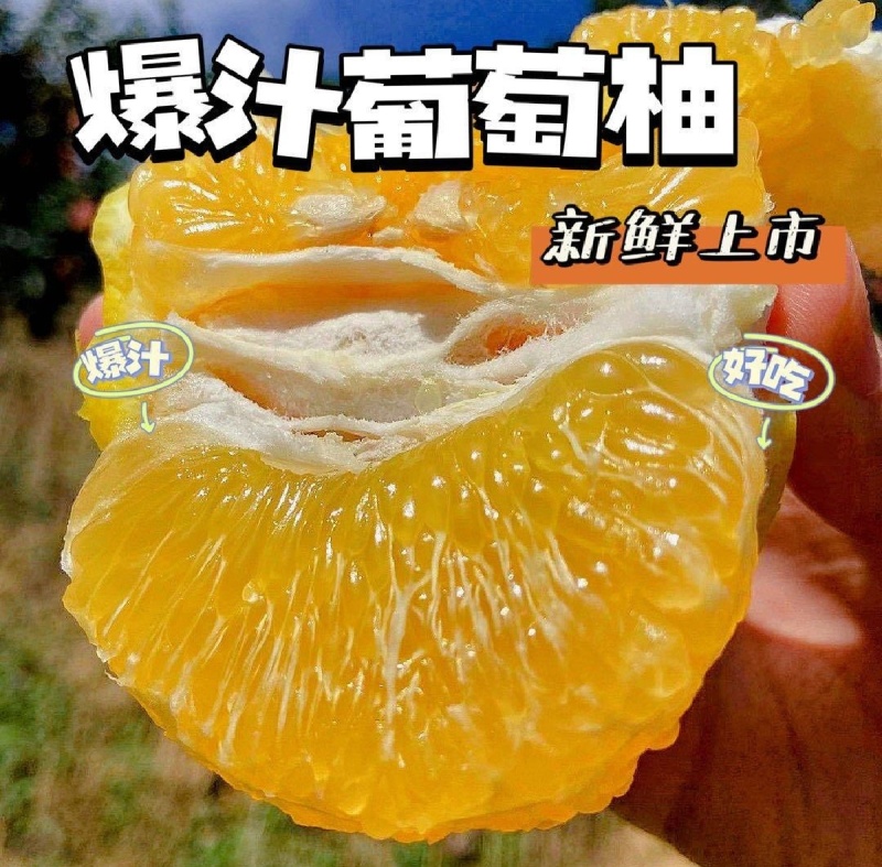 精品葡萄柚果肉漂亮，产地直发大量供应市场商超电商