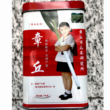 章丘大葱种子山东铁杆大梧桐大葱种籽耐寒耐热高产葱籽蔬菜种