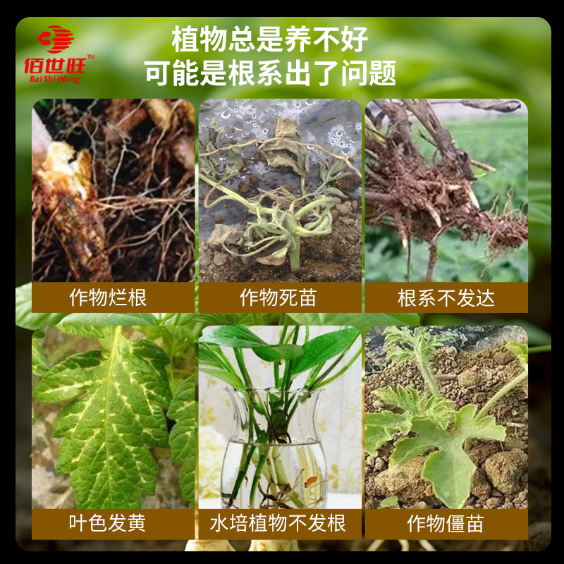 生根粉强力生根粉死苗烂根沤根植物通用果树栽移扦插生根剂营