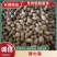 胖大海统货90吨，品质优良品质保障对接全国批发