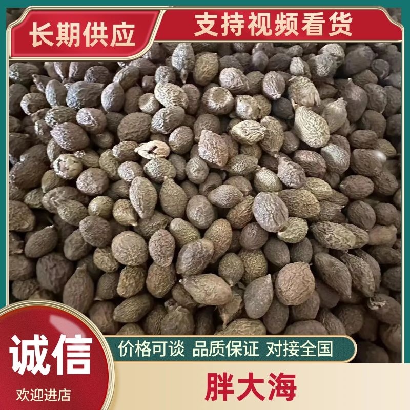 胖大海统货90吨，品质优良品质保障对接全国批发