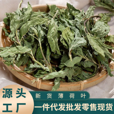 新货薄荷叶散装薄荷叶泡水批发代发零售源头工厂现货速发厂家