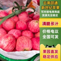 邵通金世纪苹果，精品金世纪苹果，欢迎各位老板选购