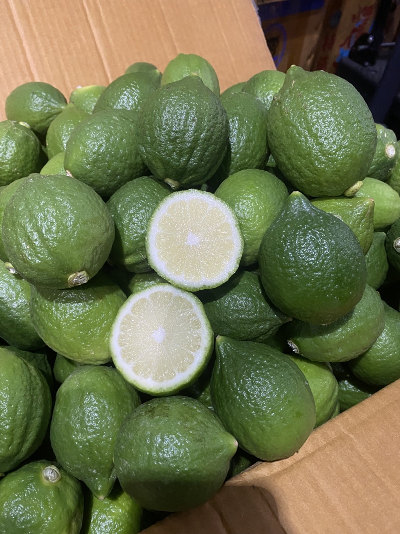 开平香水柠檬足水足味欢迎全国客商前来咨询