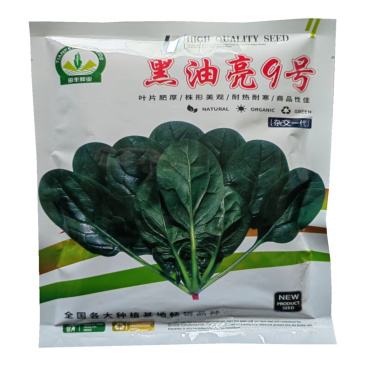 黑菠菜种子黑油亮9号种子耐热耐寒杂交高产耐抽苔大叶菠菜种