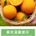 【电商一件代发】赣南脐橙-赣州安远-自产自销-量大从优