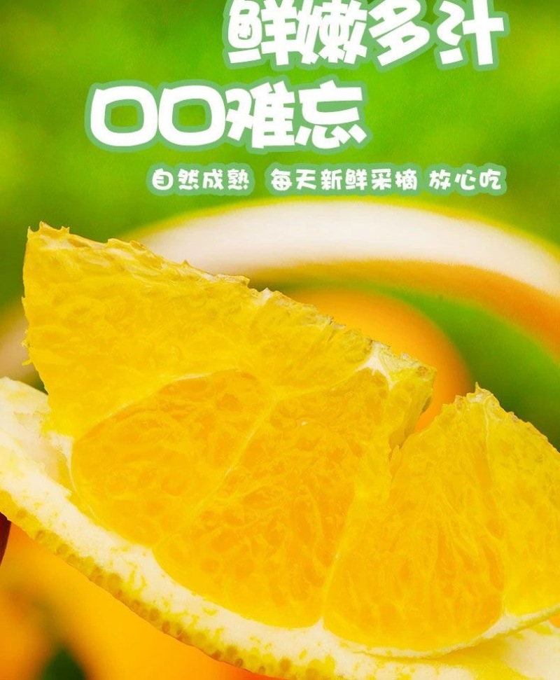 【电商一件代发】赣南脐橙-赣州安远-自产自销-量大从优