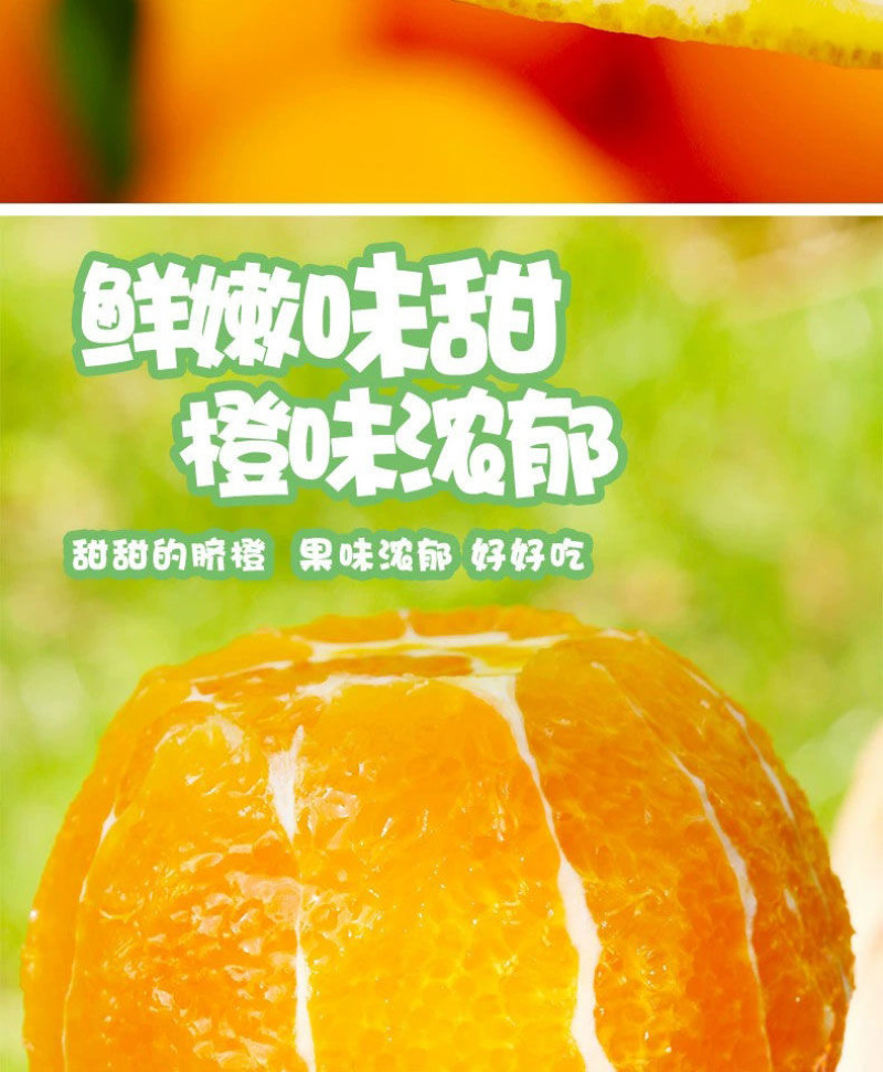 【电商一件代发】赣南脐橙-赣州安远-自产自销-量大从优