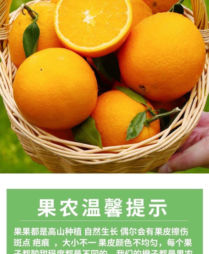 【电商一件代发】赣南脐橙-赣州安远-自产自销-量大从优