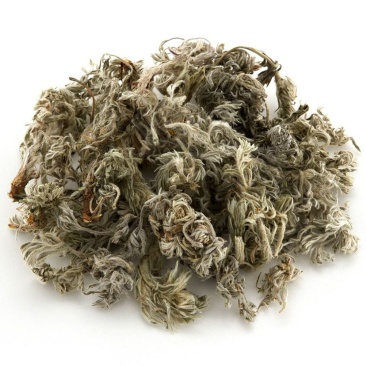 厂家直销茵陈茵陈粉现货供应