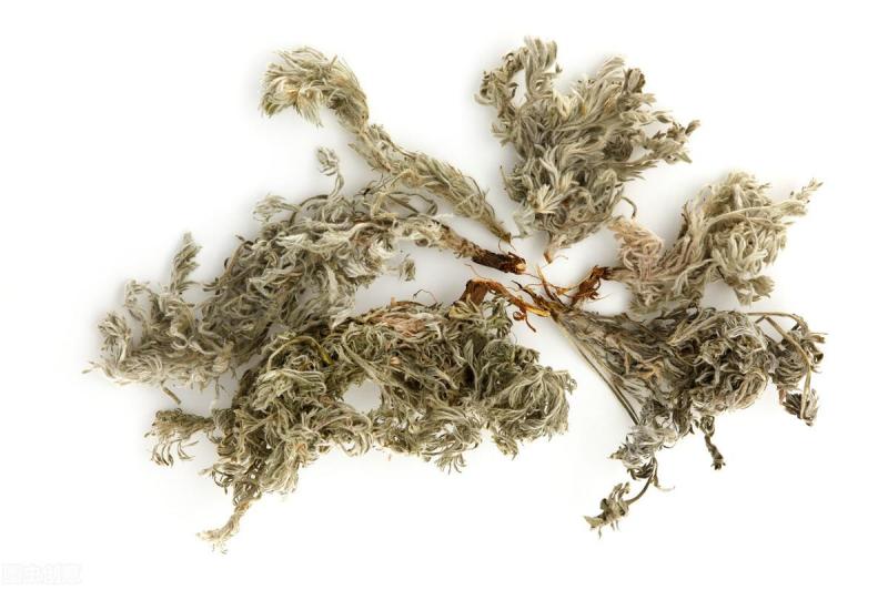 厂家直销茵陈茵陈粉现货供应