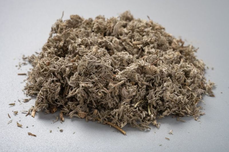 厂家直销茵陈茵陈粉现货供应