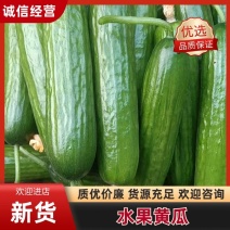 河南商丘自己种植的新鲜水果黄瓜顶花带刺现摘现发提供各种包