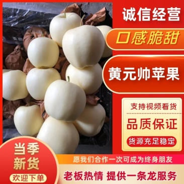 黄元帅苹果精品苹果辽宁苹果大量有货品质放心欢迎来电咨询