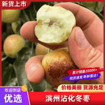 一件代发～二代冬枣～鲜枣～抖音～快手～拼多多～电商货