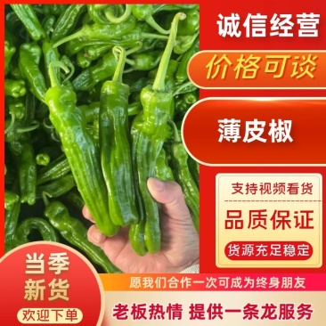 薄皮椒砀山鲜辣椒产地直发品种齐全对接商超市场社区