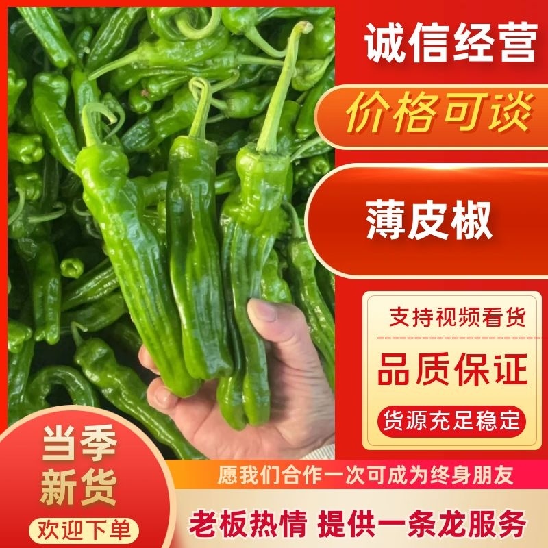 薄皮椒砀山鲜辣椒产地直发品种齐全对接商超市场社区